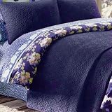 Amy Butler Dream Daisy Full/Queen Quilted Coverlet (Reversible Blue)