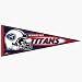 1 Tennessee Titans NFL Wholesale Team Pennant