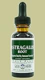 Astragalus Root - 2 oz. - Liquid