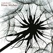 Nine Wishes