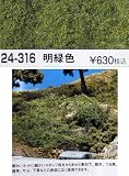 KATO �t�H�[���b�W ���ΐF �iF51�j k24-316 �y�S���͌^�EN�Q�[�W�z (���i�C���[�W)