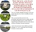 Book The Quick and Easy Earn More Money, Inner Game and Biz Networking for Wedding Dresses On-line Businesses 3 CD Power Pack