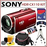 Sony HDRCX110