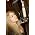 Thumbnail image of Eliane Elias