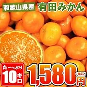 【予約販売】【11月15日頃発送予定】和歌山県産【有田みかん】約10kg/紀州/訳あり