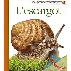 L'escargot