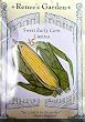 Sweet Early Corn Casino Variety Seeds 100 Seeds
