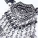 Qiyun (TM) Flat Metal Metallic Dangle Coin Tassel Lucky Design Choker Bib Jewelry Necklace