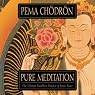 Pure Meditation