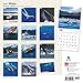 Whales 2016 Wall Calendar