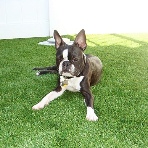4' x 10' Synthetic Turf Artificial Lawn Fake Grass Indoor Outdoor Landscape Pet Dog Area