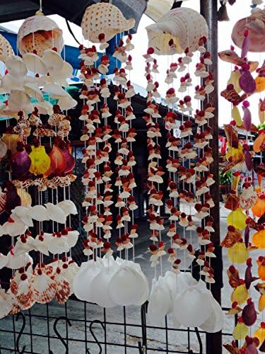 A Bunch of Sea Shells for Doors or Windows or Trees, or Other Parts of the House As Needed. (Pack of 4)