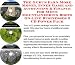 Book The Guru's Earn More Money, Inner Game and Accounting & Finance for Men's Mountaineering Boots On-line Businesses 3 CD Power Pack