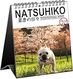 2015 夏彦ファミリー/坂下康裕 卓上カレンダー C-673-NA 衝撃的な姿