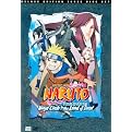 Naruto the Movie (Deluxe Edition) (Combination DVD and audio CD)