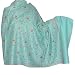 Shawls and Wraps Kashmiri Embroidered Wool Accessory 80 x 40 inches (ebs318)