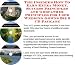 Book The Guru's Earn More Money, Marketing and Inner Game for Used Wedding Gowns On-line Businesses 3 CD Power Pack