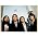 Thumbnail image of Kings of Leon