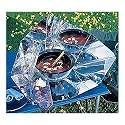 Hot Pot Simple Solar Cooker with 5.3 quart Enameled Steel Pot - AS SEEN ON GOOD MORNING AMERICA!