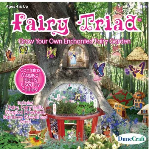 Fairy Triad Dome Terrarium