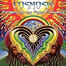  Fumbling For The Funky Frequency
