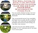 The Rich Man's How To Earn Extra Money, Marketing and Success Principles for Air Flow...