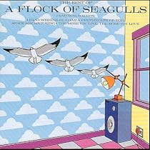 The Best of a Flock of Seagulls
