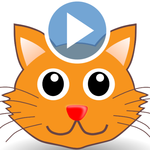 Amazing Funny Cat Videos