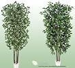 TWO 7' Artificial Trees - Very Full Ficus + Danica Oak with Real Wood Trunks