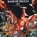Band of Skulls - Fires [Vinyl]