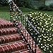 lychee® Solar Christmas String Solar Fairy String Lights for Outdoor Room Garden Home Christmas Party Decoration Waterproof (Warm White, 11m 60Leds)