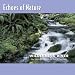 Echo Sound-Echoes of Nature: Wilderness River