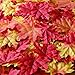 200 Artificial Fall Maple Leaves in a Mixture of Autumn Colors - Great Autumn Table Scatters for Fall Weddings & Autumn Parties