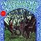 My Music for You ( Creedence Clearwater Revival )