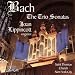 Sonata No. 3 in D Minor, BWV 527: Vivace