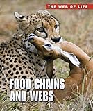 Food chains and webs