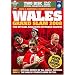 Wales Grand Slam 2008 Official Review - Collectors Edition [DVD]