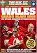 DVD : Wales Grand Slam 2008 Official Review - Collectors Edition
