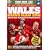 Wales Grand Slam 2008 Official Review - Collectors Edition [DVD]