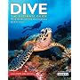Dive: The Ultimate Guide