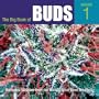 The Big Book of Buds: Marijuana Varieties from the World's Great Seed Breeders