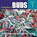 The Big Book of Buds: Marijuana Varieties from the World's Great Seed Breeders