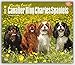 For the Love of Cavalier King Charles Spaniels 2016 Calendar