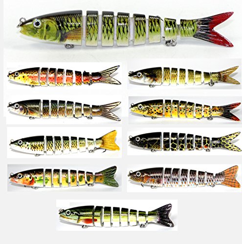 Discover Fish® 8