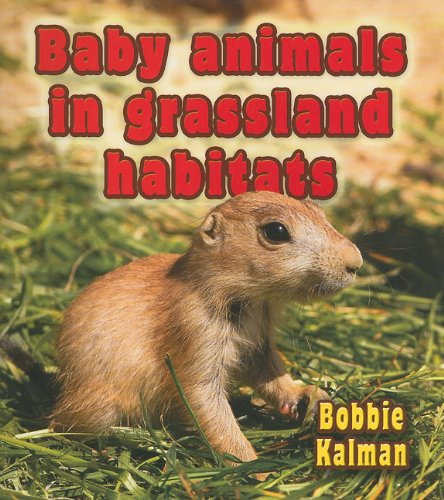 Baby Animals in Grassland Habitats (Habitats of Baby Animals (Paperback))