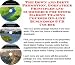 The Down and Dirty Promotion, Godfather Principles and eCommerce for Stock Market Trading Courses On-line Businesses 3 CD Course