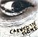 Carved in Stone