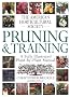 Pruning & Training (American Horticultural Society Practical Guides)