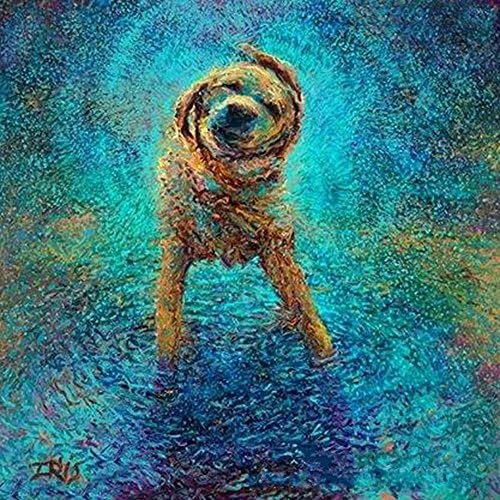 Lin store DIY Crystals Painting Kit 5D Inlaid Diamond Painting By Number Kits Oill Painting with Rhinestone 50*50CM puppy