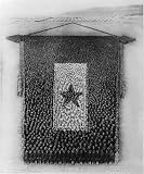 Camp Funston,Fort Riley, Kansas,Living Service Flag